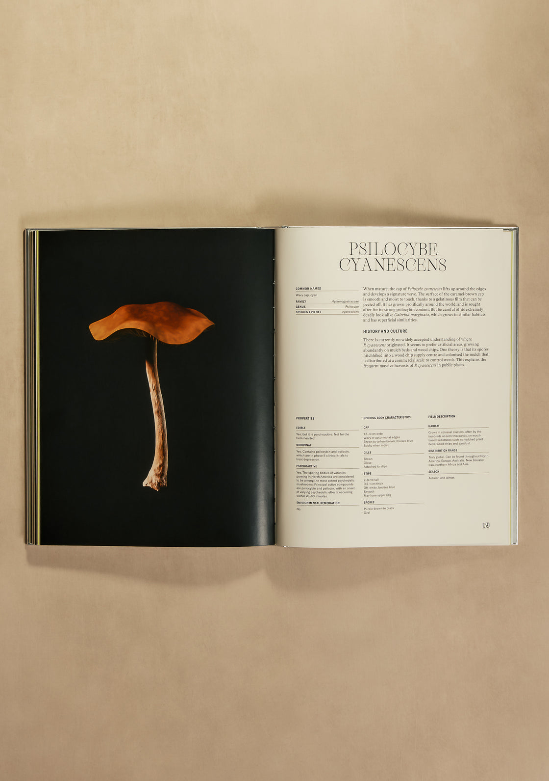 The Future is Funghi Book